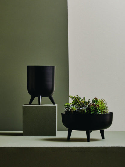 Black Vase | Alina