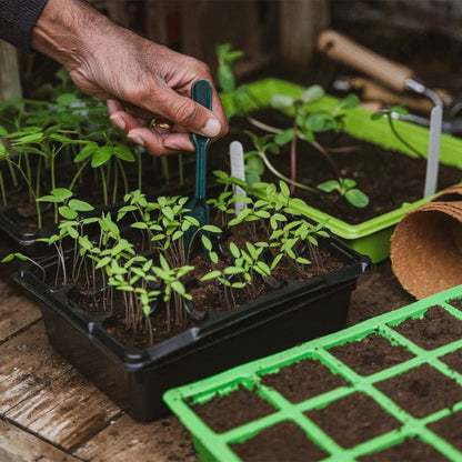 Widger, Dibber Planting and Labelling Set in use