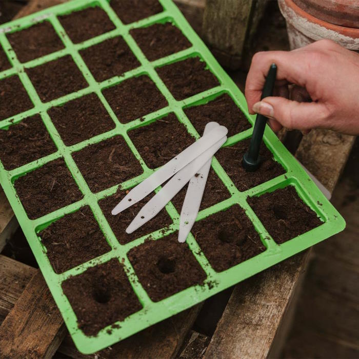 Dibber being used to make a hole for seeds