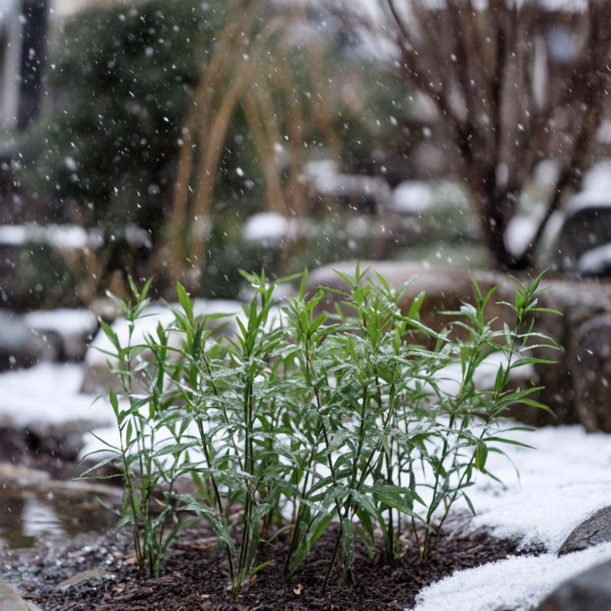 1610503_Atmosphere_02_SQ_MJ_c875fb69-7831-4506-aeb8-3e05cb8a0975