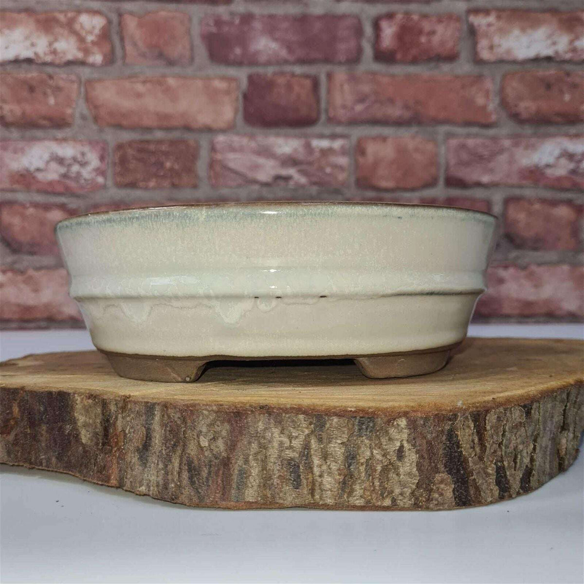 16cm_Glazed_Bonsai_Pot_Oval_16cm_x_12cm_x_3cm_White_-_Yorkshire_Bonsai-15683_bd6a5adc-effa-451d-bf8d-46ce8268d2ef