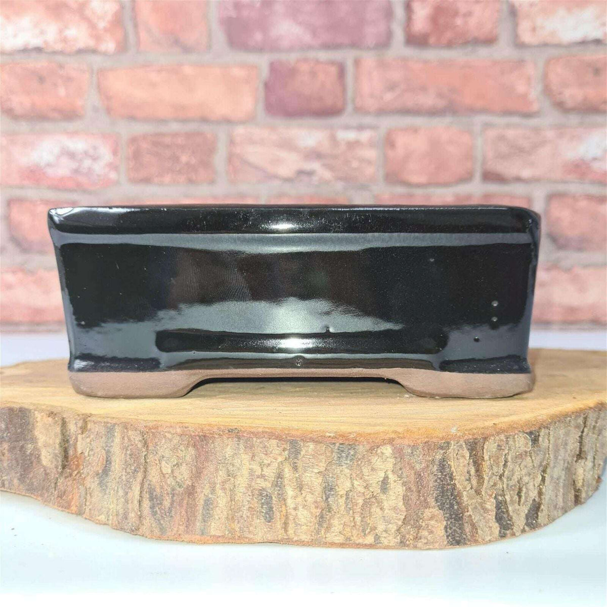 16cm_Glazed_Bonsai_Pot_Rectangle_16cm_x_13cm_x_6cm_Black_-_Yorkshire_Bonsai-15715_66e4fdb2-7628-44c3-a5f9-ad6e0ebe0bca