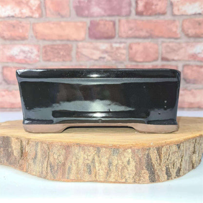 16cm_Glazed_Bonsai_Pot_Rectangle_16cm_x_13cm_x_6cm_Black_-_Yorkshire_Bonsai-15715_66e4fdb2-7628-44c3-a5f9-ad6e0ebe0bca