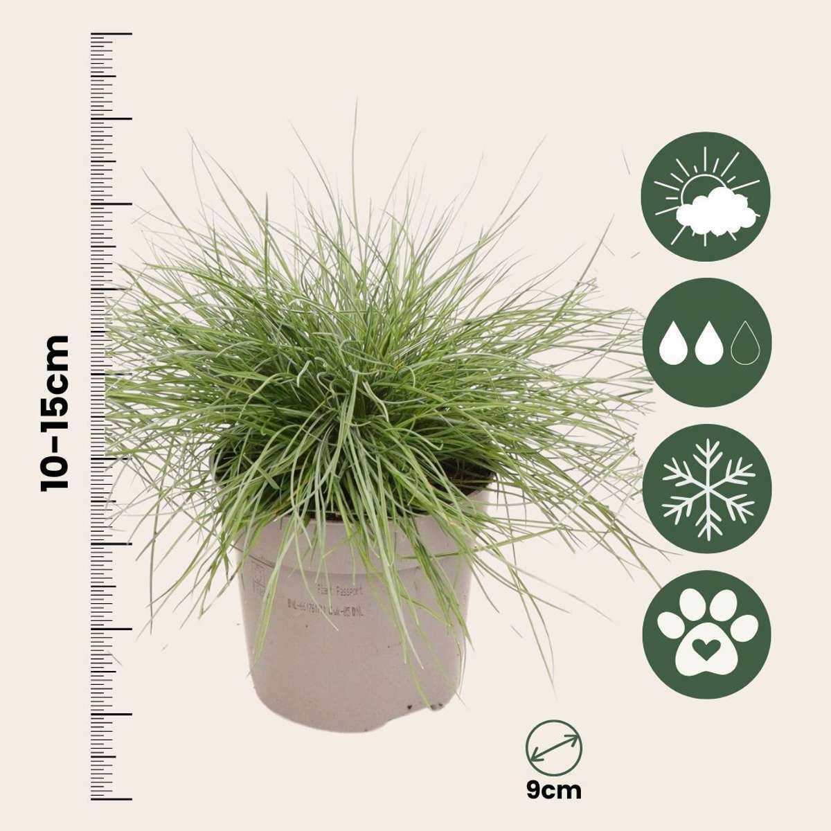 1840009_Sizeindicator_01_b8831679-a10c-4bec-8fc0-da73cf78ceda