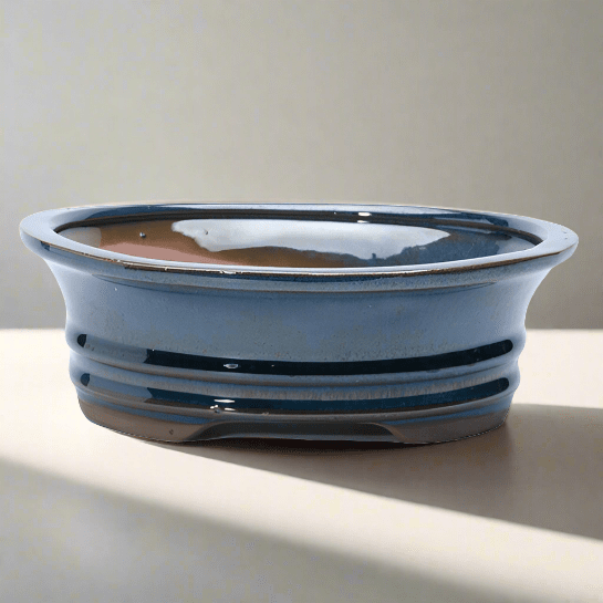 18cm_Glazed_Bonsai_Pot_Oval_18cm_x_14cm_x_4cm_Blue_-_Yorkshire_Bonsai-15752