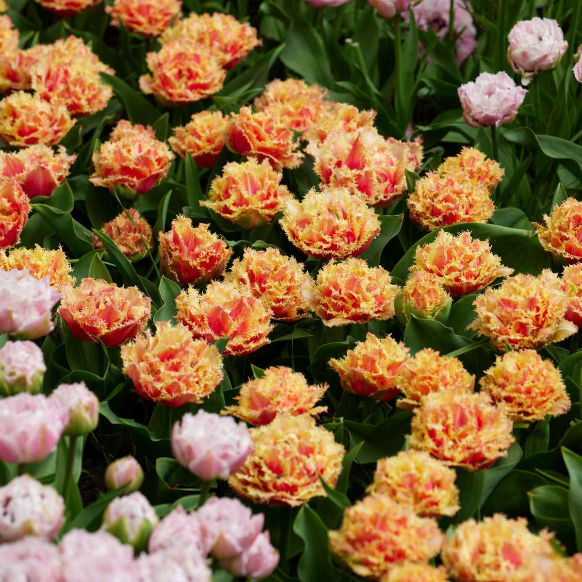 1913210_Atmosphere_02_SQ_c4aa88f9-ac09-4b86-a87f-23f70be91d00