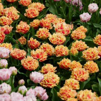 1913220_Atmosphere_02_SQ_a0a982c4-d3f0-4aab-8e5d-188126905530