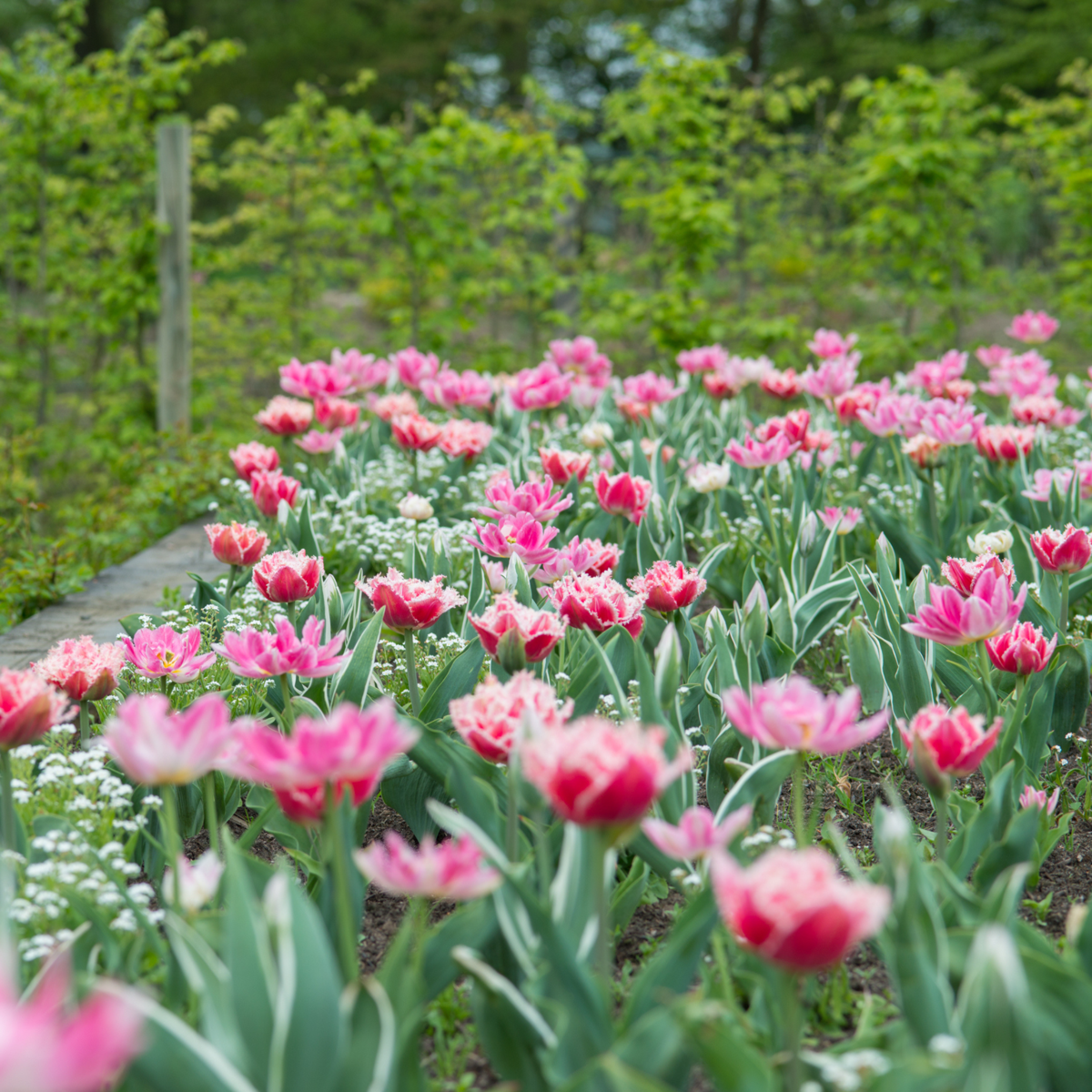 1913310_Atmosphere_01_SQ_c7d3df0c-d88a-49b8-9ecf-6f4c8503d497