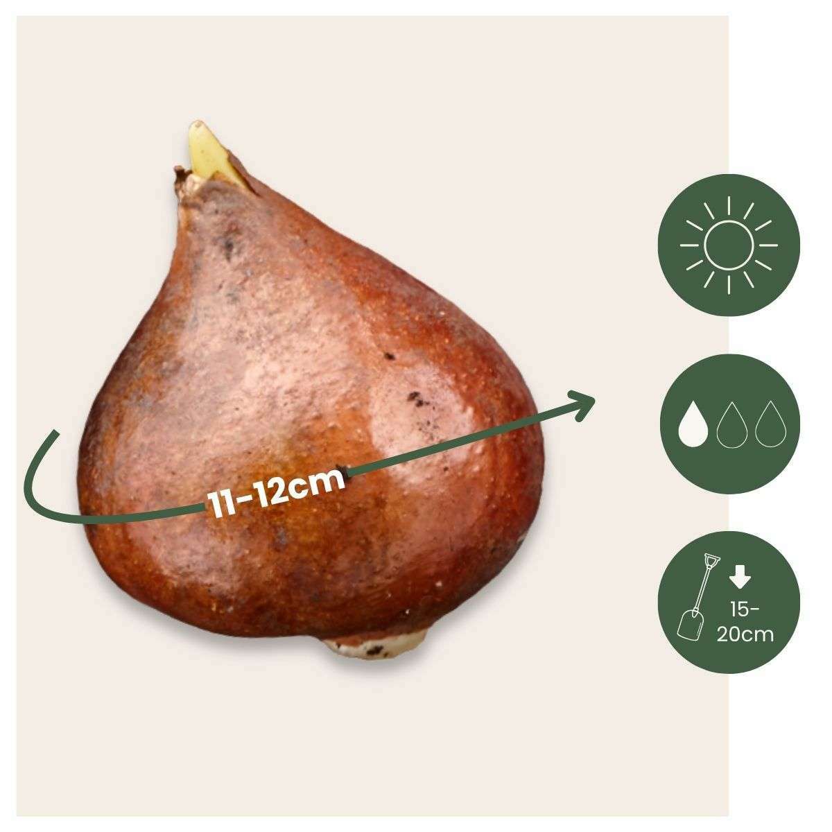 1914314_Sizeindicator_01_387de686-edb5-4be0-b5b5-439304116472