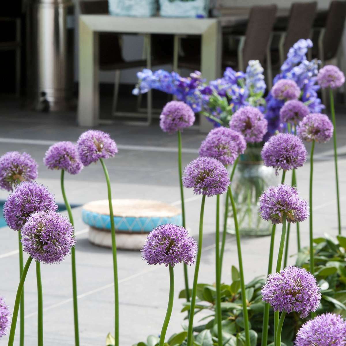 1917016_Atmosphere-01_SQ