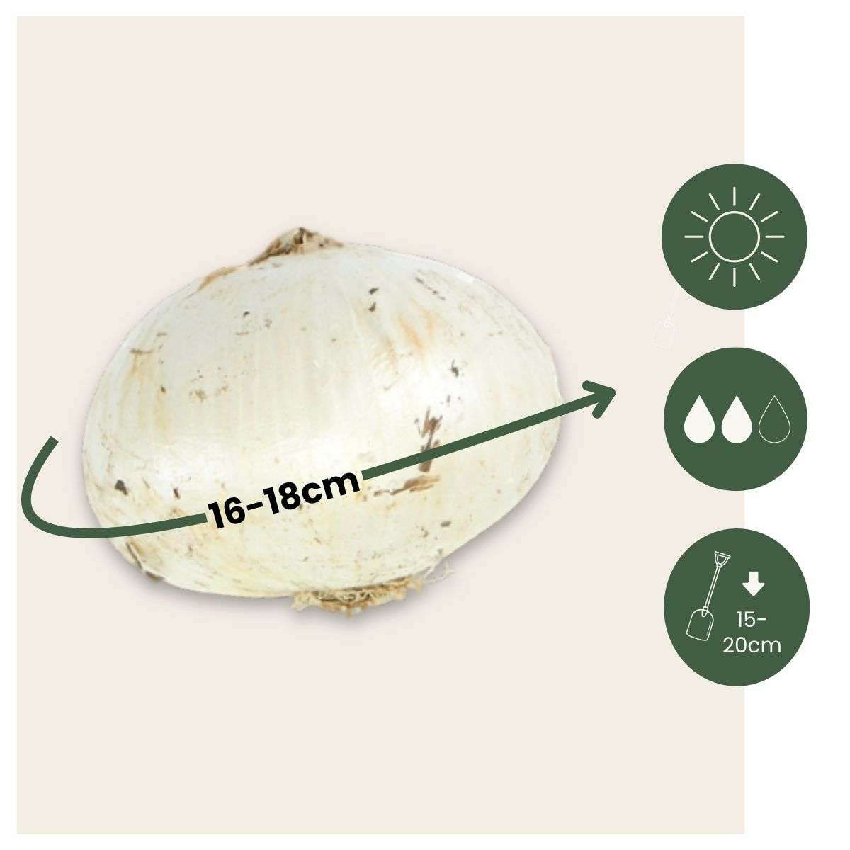 1917016_Sizeindicator_01