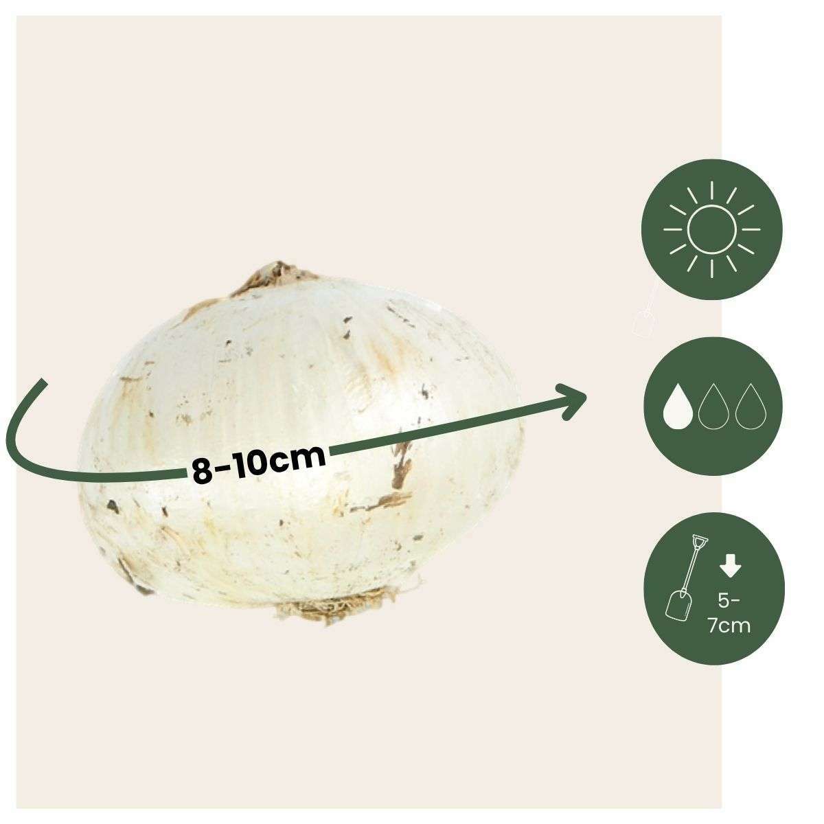 1927030_Sizeindicator_01