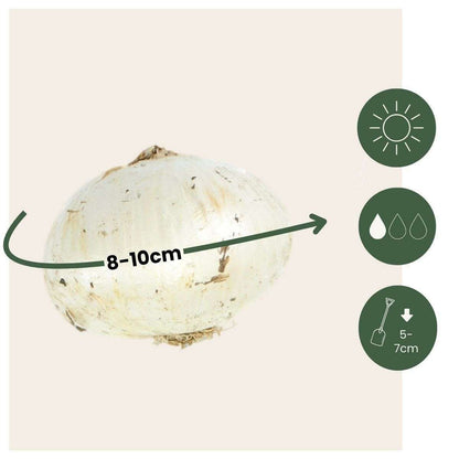 1927060_Sizeindicator_01