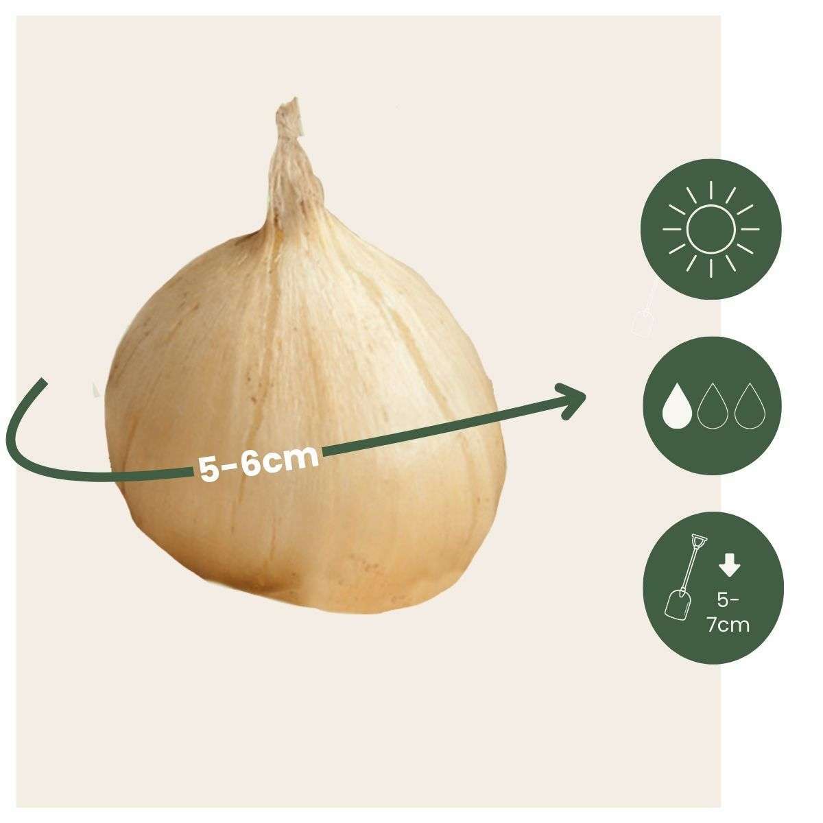 1927100_Sizeindicator_01_7bd5836d-b402-48ab-97dc-0f12c2db1b17