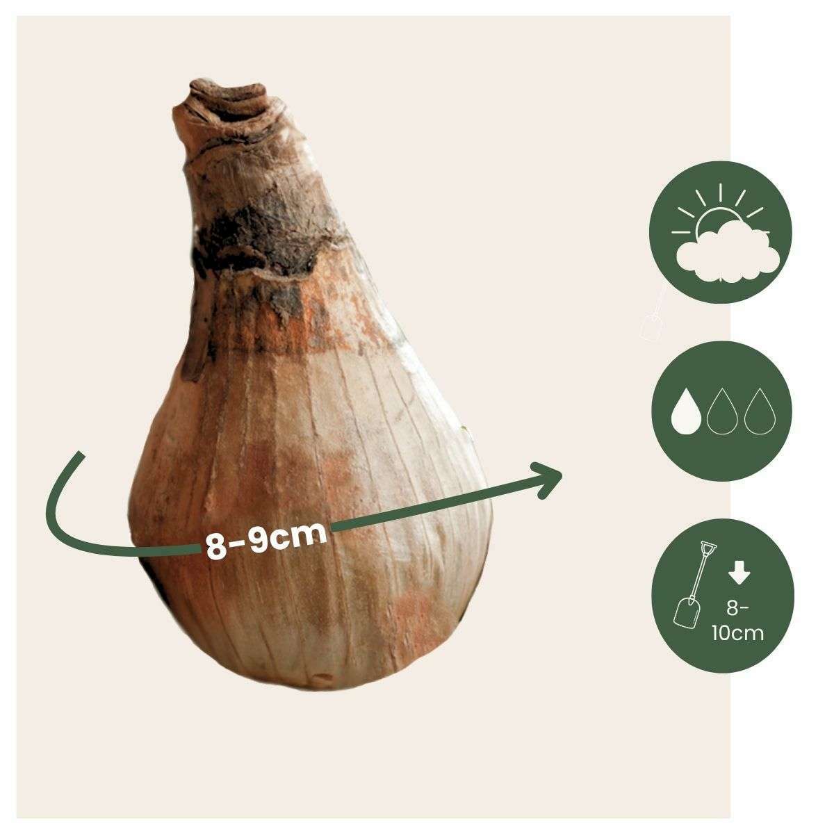 1928840_Sizeindicator_01_1