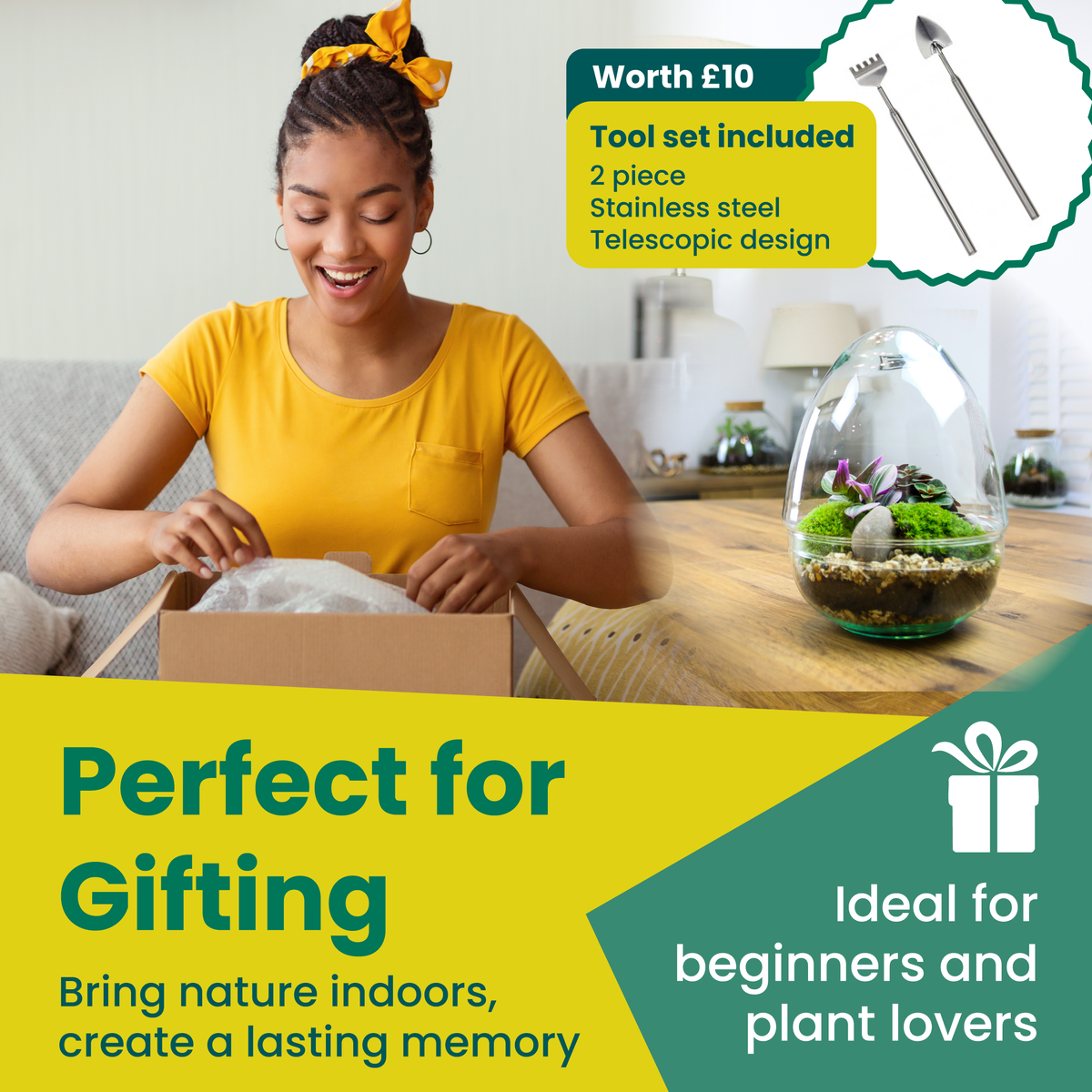 The Egg - All Glass Two Piece Terrarium with Living Plants