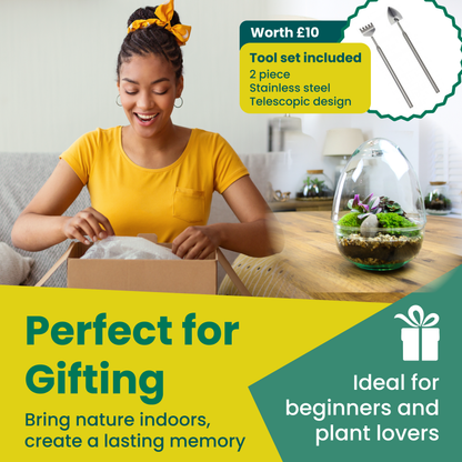 The Egg - All Glass Two Piece Terrarium with Living Plants
