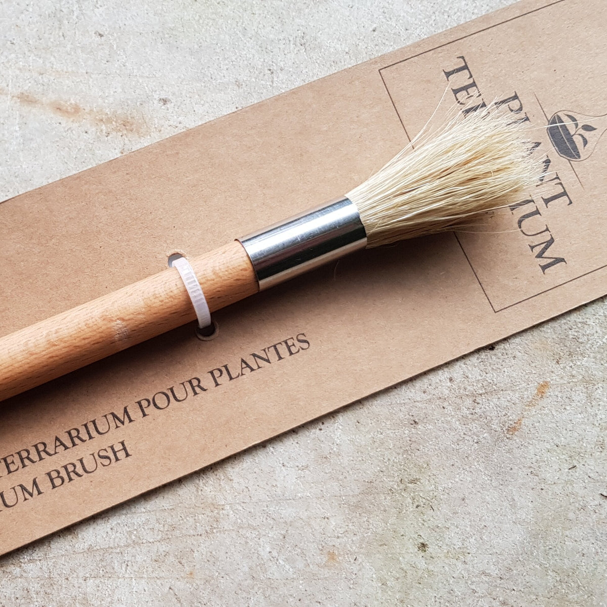 Terrarium Brush