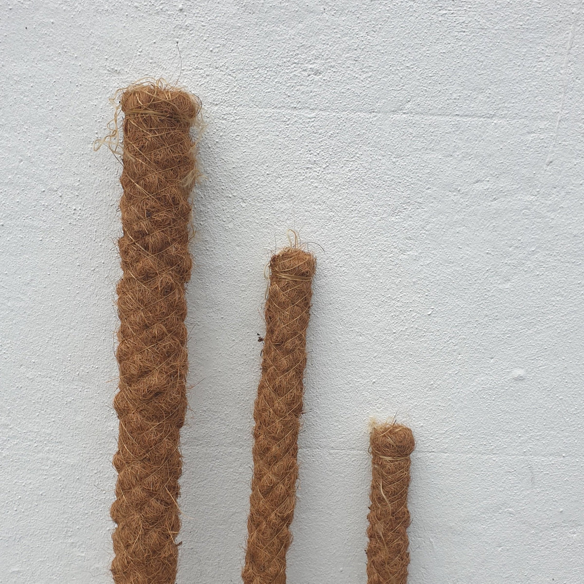 Moss Poles