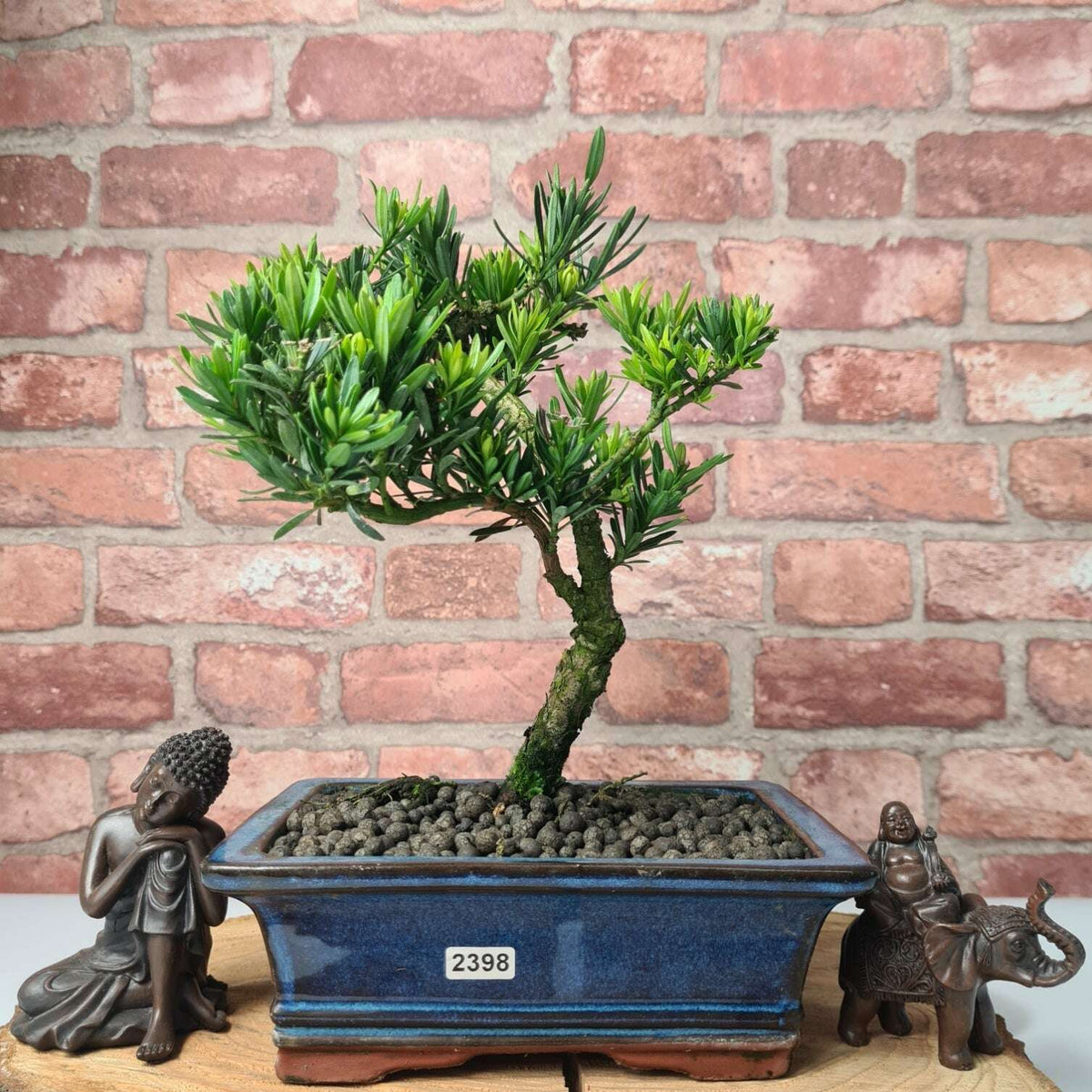 20240109_152802
