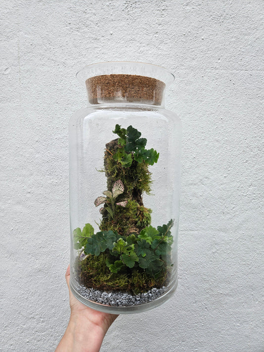 Planted Cork Landscaped Terrarium