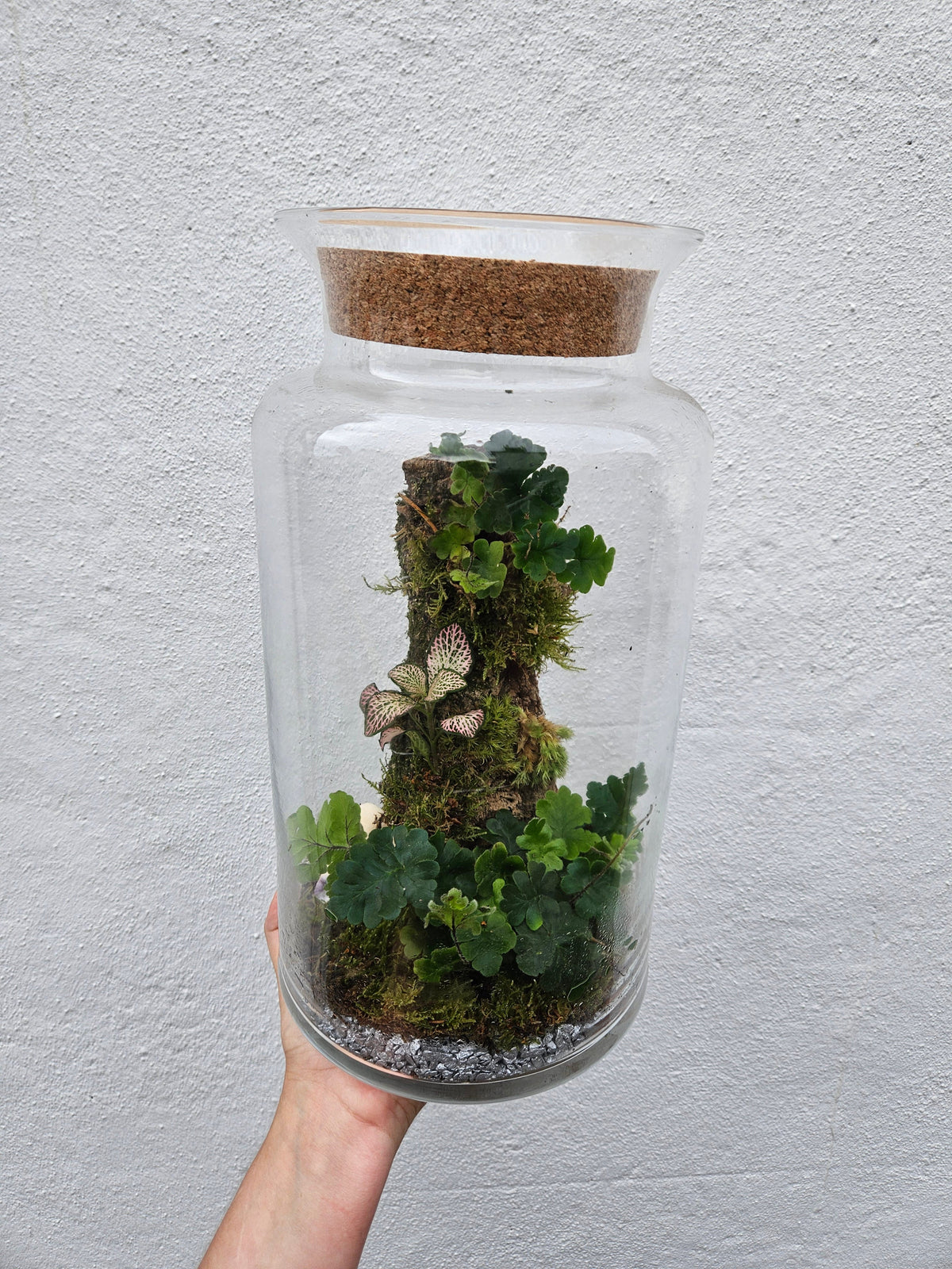 Planted Cork Landscaped Terrarium
