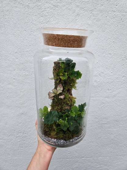 Planted Cork Landscaped Terrarium