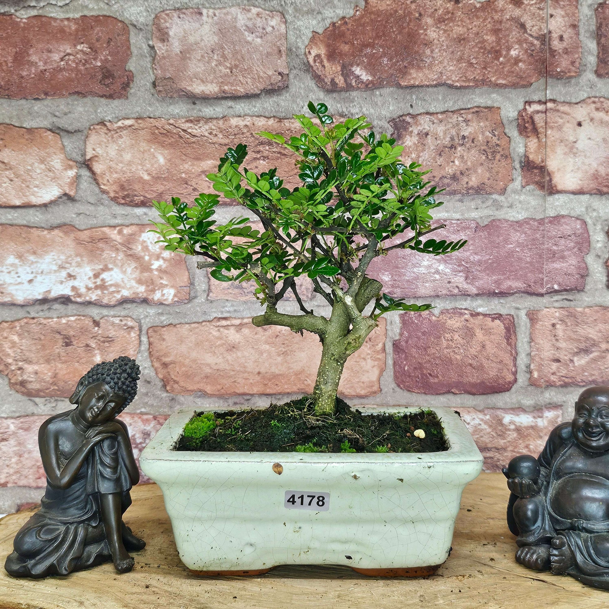 20241107_154449