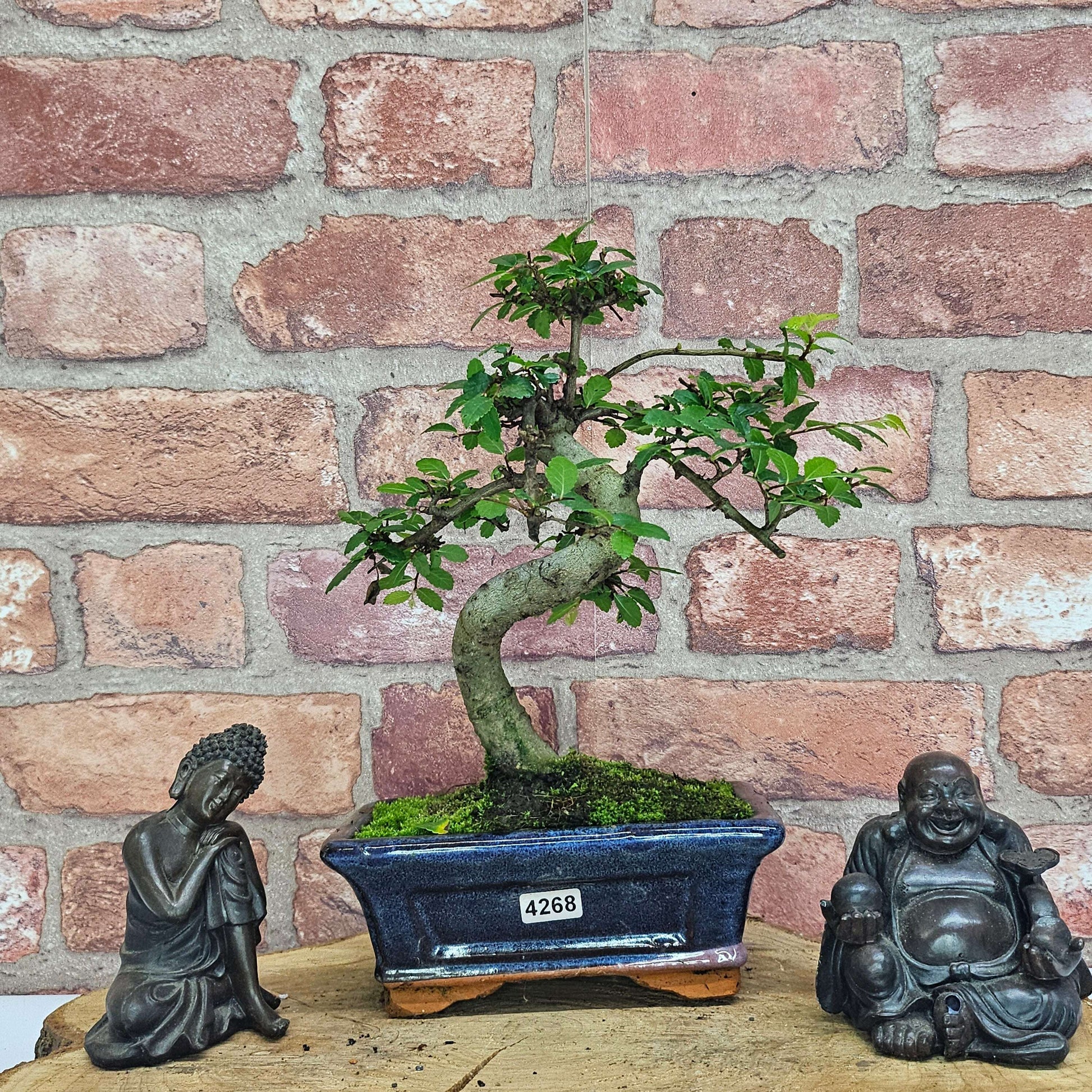 20241114_152541