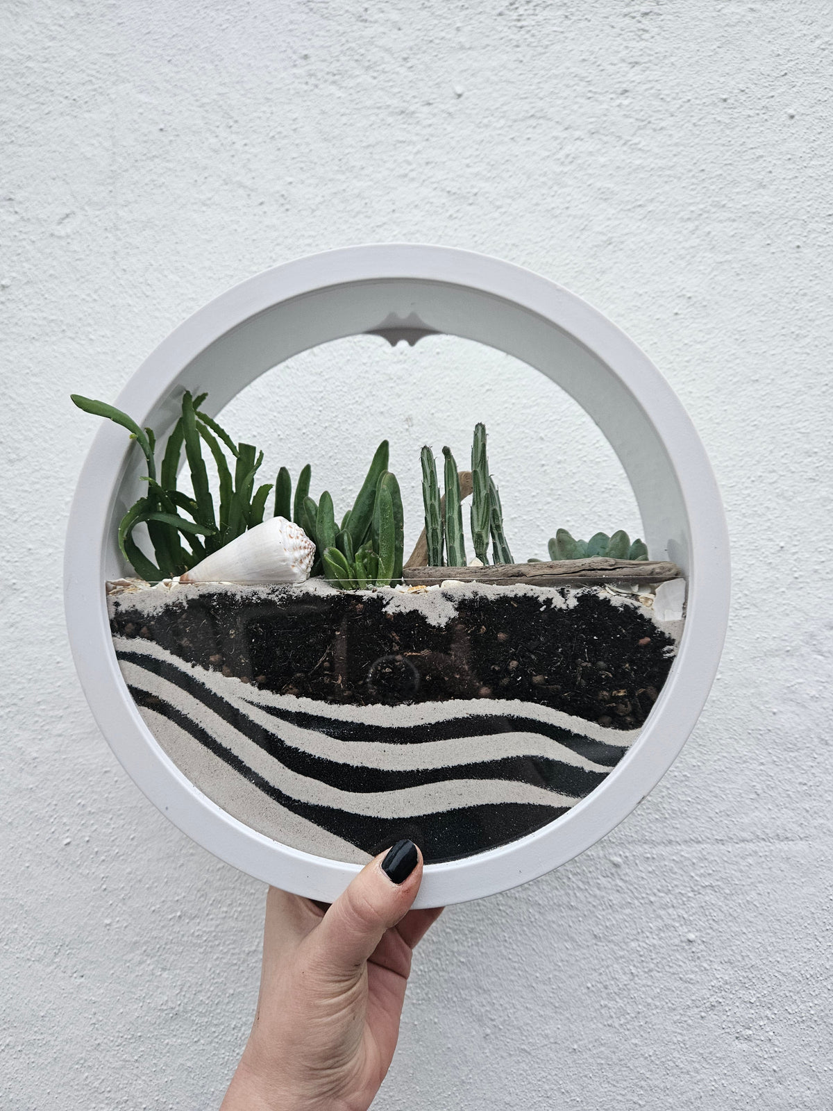 Wall Mounted Succulent Planter