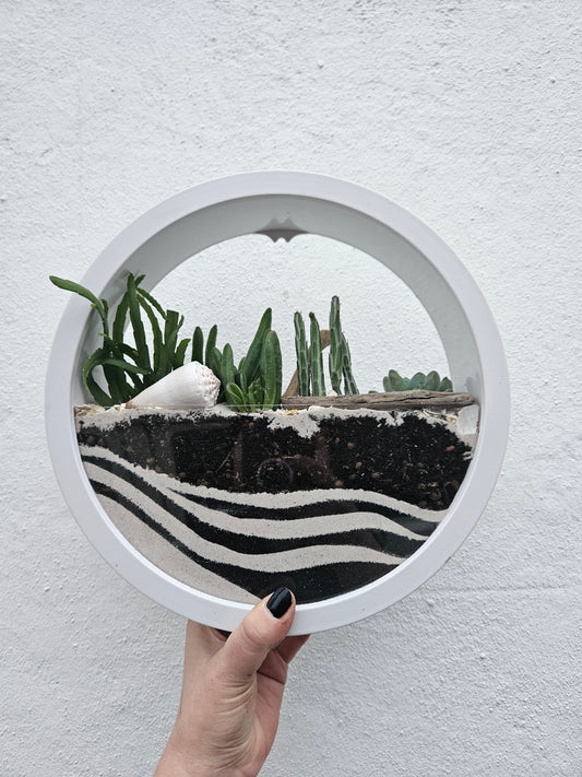 Wall Mounted Succulent Planter