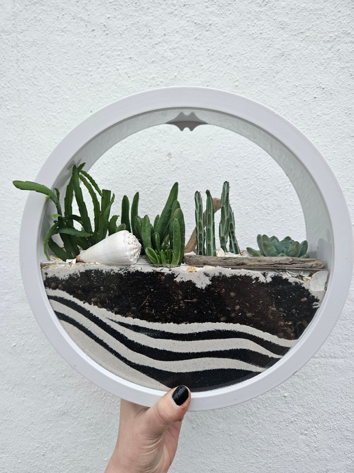 Wall Mounted Succulent Planter