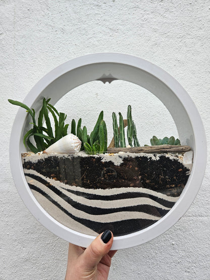 Wall Mounted Succulent Planter