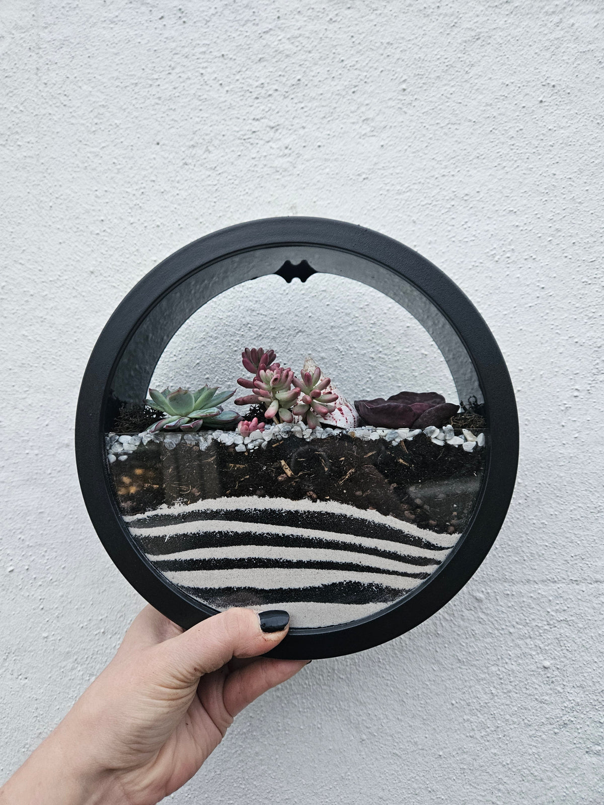 Wall Mounted Succulent Planter