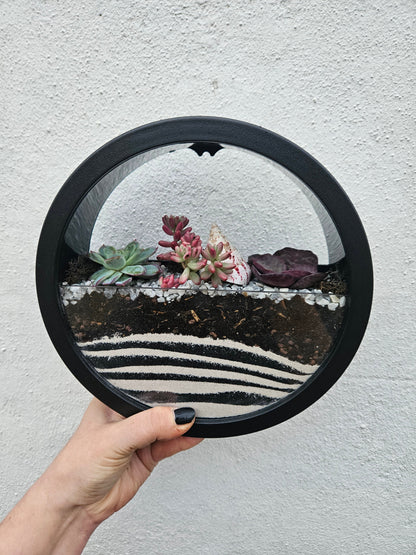 Wall Mounted Succulent Planter