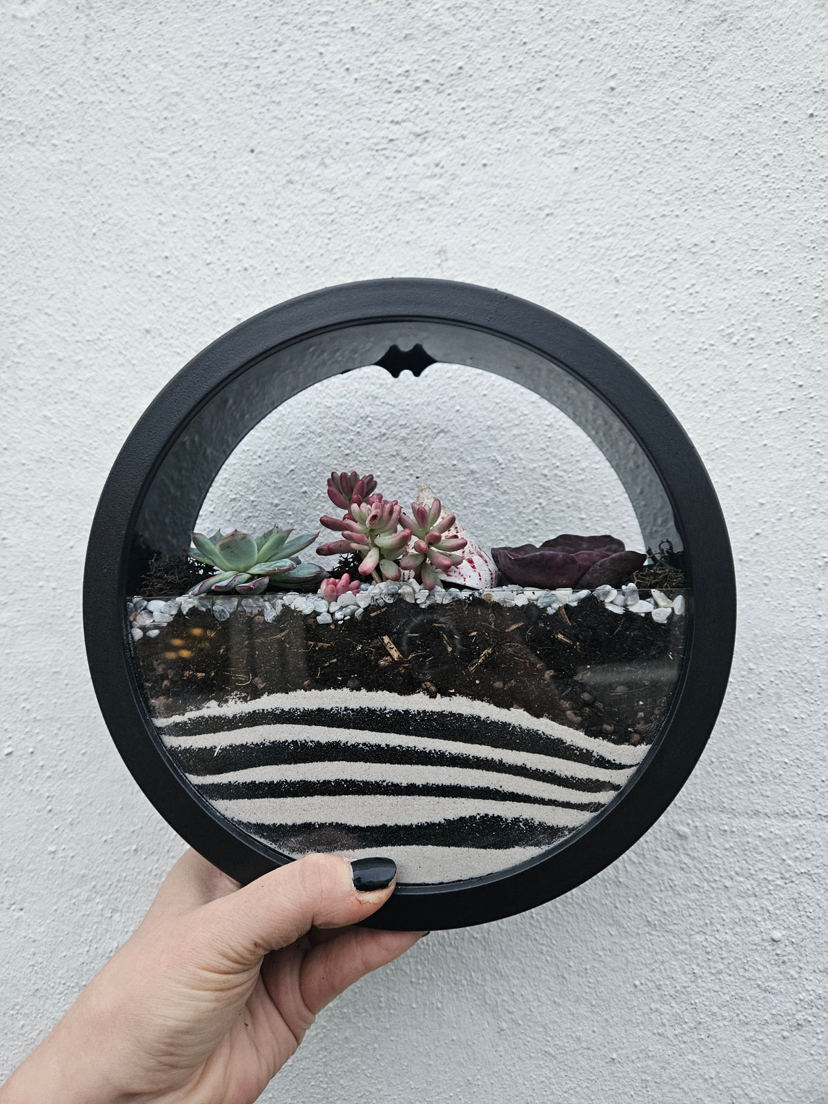 Wall Mounted Succulent Planter