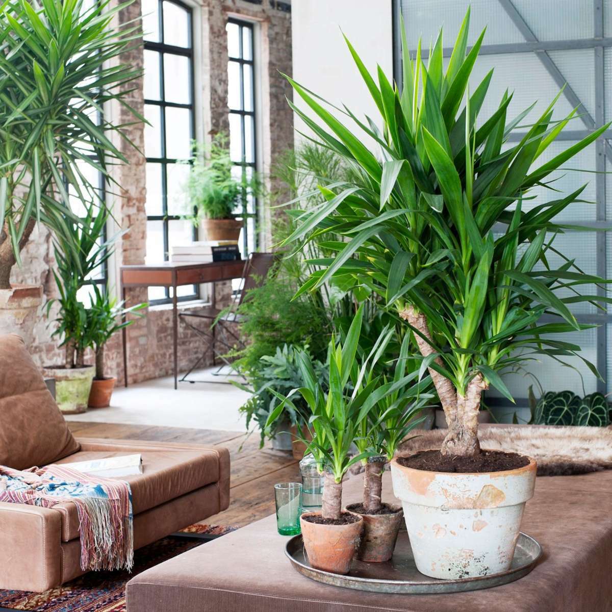 2037143_Atmosphere_02_SQ_c87cd174-35a9-4f86-84bc-ec3c4f2ce705