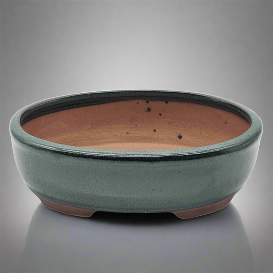 Sage Green Oval Glazed Bonsai Pot 20cm x 16cm x 6cm