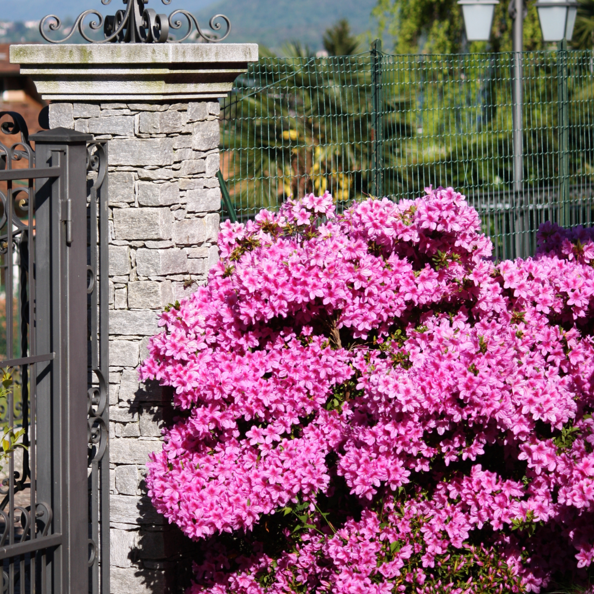 2120004_Atmosphere_01_SQ_758211c7-e0a6-45c9-ba46-2677ee229d2b