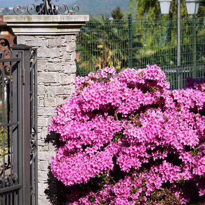 2120004_Atmosphere_01_SQ_758211c7-e0a6-45c9-ba46-2677ee229d2b