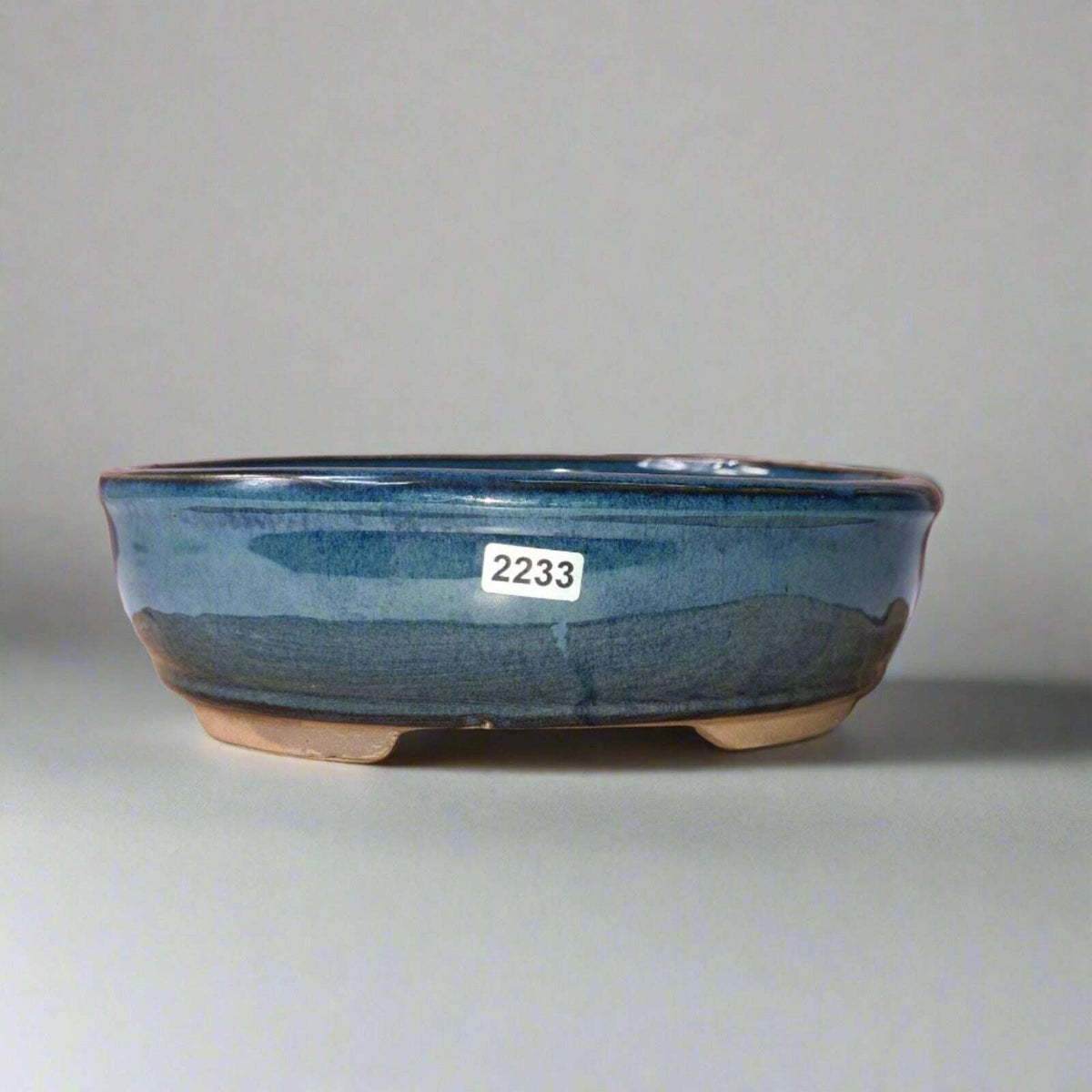 21cm_Glazed_Bonsai_Pot_Oval_21cm_x_16cm_x_7cm_Blue_-_Yorkshire_Bonsai-15881