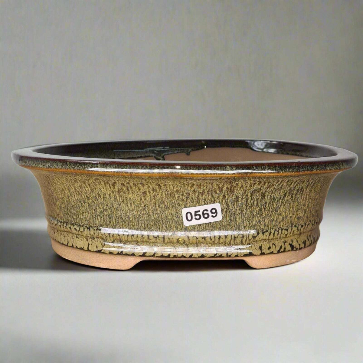 21cm_Glazed_Bonsai_Pot_Oval_21cm_x_17cm_x_6cm_Green_-_Yorkshire_Bonsai-15892