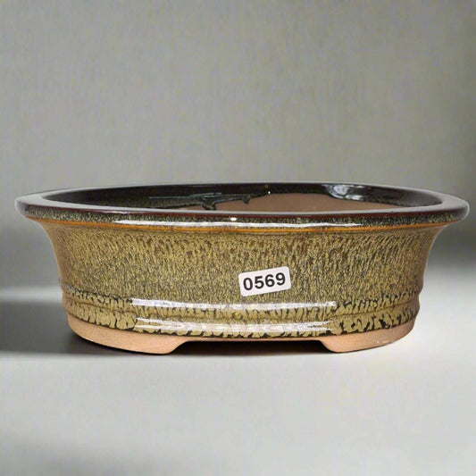 21cm_Glazed_Bonsai_Pot_Oval_21cm_x_17cm_x_6cm_Green_-_Yorkshire_Bonsai-15892