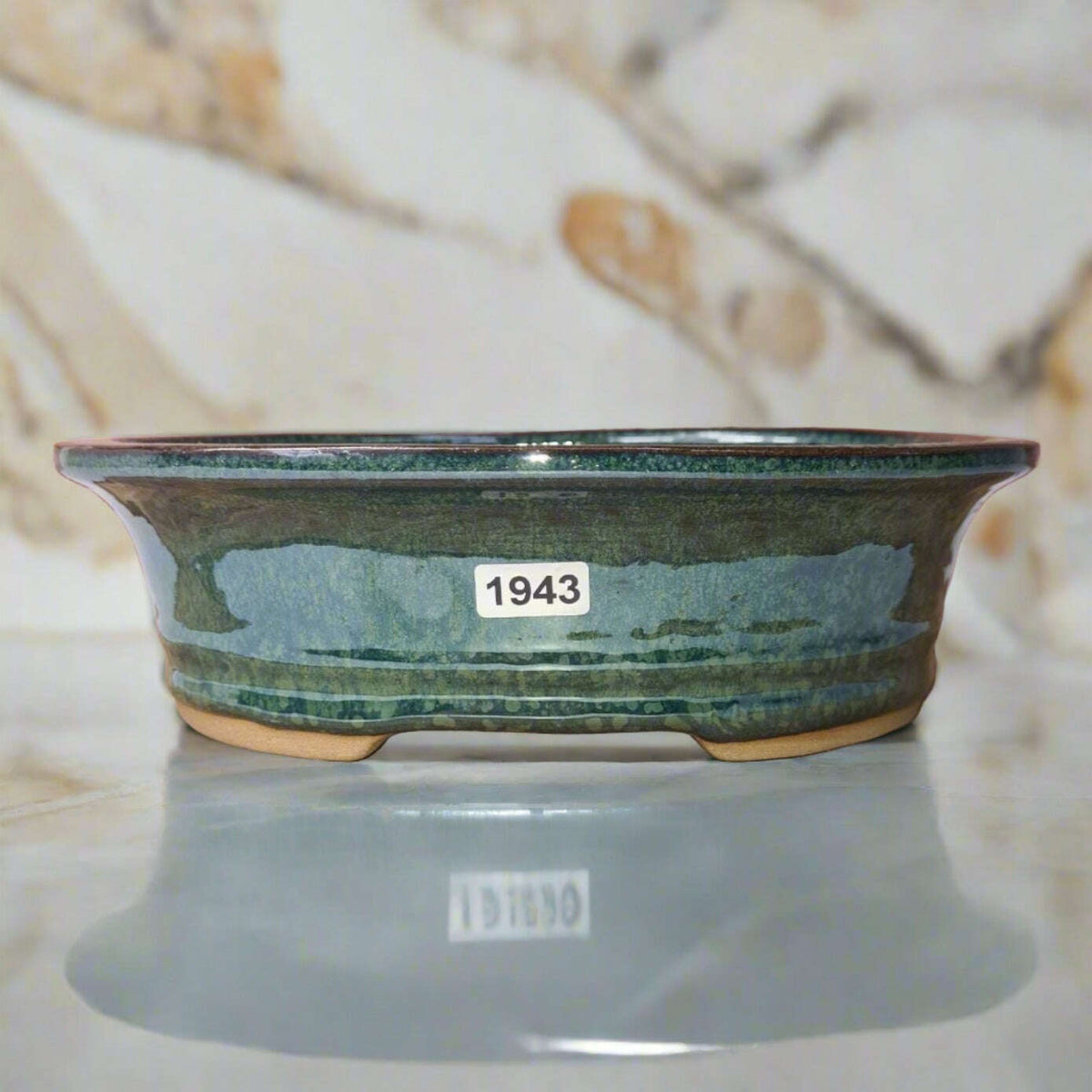 21cm_Glazed_Bonsai_Pot_Oval_21cm_x_17cm_x_6cm_Green_-_Yorkshire_Bonsai-15894