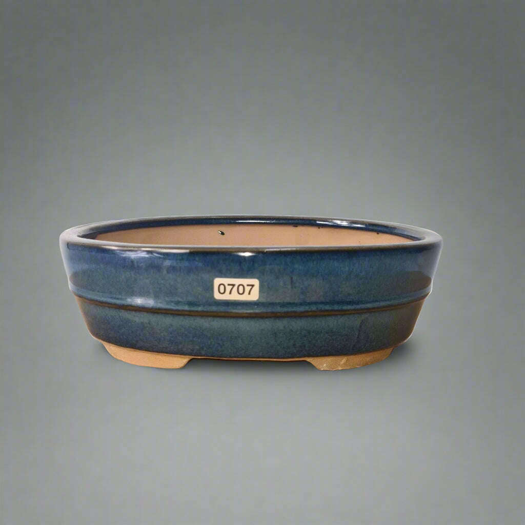 22cm_Glazed_Bonsai_Pot_Oval_22cm_x_16cm_x_7cm_Blue_-_Yorkshire_Bonsai-15966