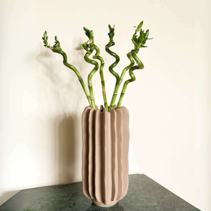 2380006_Atosphere_21_SQ