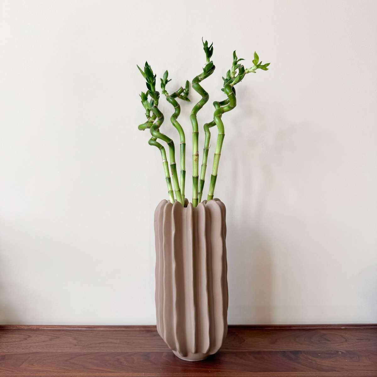 2380006_Atosphere_22_SQ