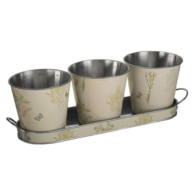 Set of Three Pots on Oblong Tray | Jardin