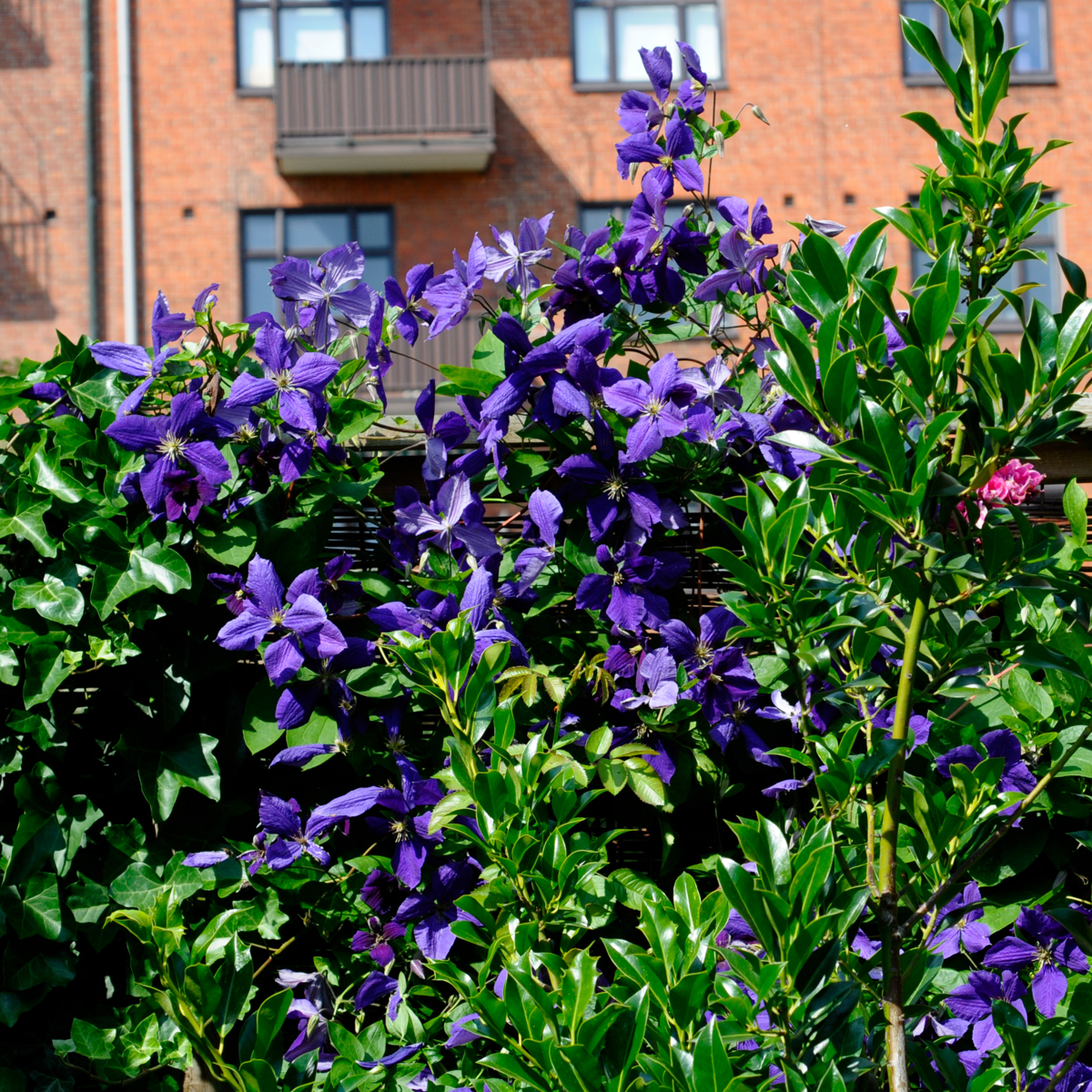 2526023_Atmosphere_01_SQ_4bfbf91c-0201-4736-8cb3-39d63f46495c