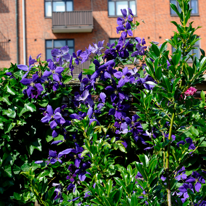 2526023_Atmosphere_01_SQ_4bfbf91c-0201-4736-8cb3-39d63f46495c